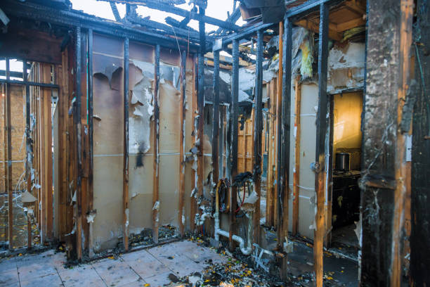 Professional Smoke Damage Removal technician working in Castalia, OH